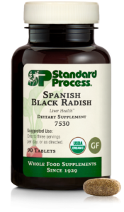 Spanish Black Radish 90